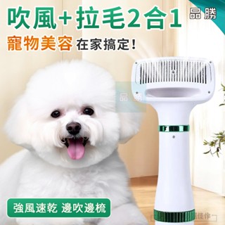 【臺灣現貨🐶吹風拉毛二合一】寵物吹風機 吹風拉毛一體機 吹毛梳 理毛梳 吹風機 寵物吹風拉毛神器 狗狗貓咪烘乾梳 超靜音