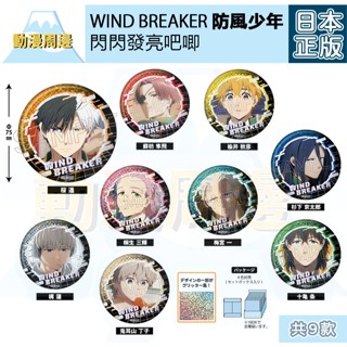 【日版現貨】日本正版 防風少年 WIND BREAKER 閃光 櫻遙 蘇枋隼飛 梶蓮 梅宮一 十龜條 徽章 吧唧 胸章