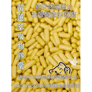 《新港青草大王》黃蓮萃取物膠囊\60粒裝（夾鍊袋包裝）\臺灣製造👍天然無新增👍
