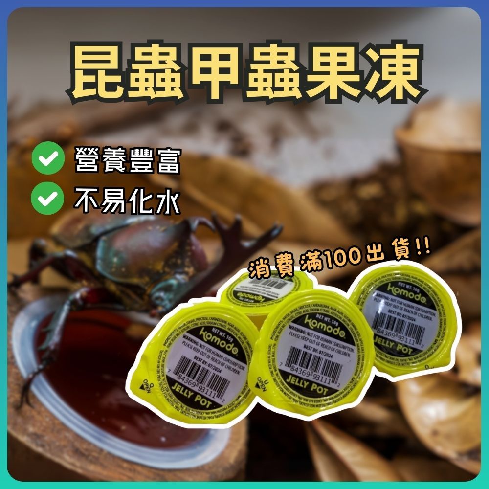 【可以混】果凍 甲蟲果凍 昆蟲果凍 獨角仙果凍 鍬形蟲果凍 高蛋白果凍 寵物果凍 甲蟲 鍬形蟲 獨角仙 昆蟲 蜜袋鼬