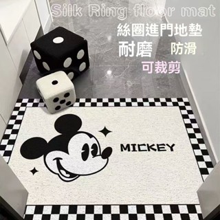 玄關地墊 絲圈地墊 颳泥地墊 門口地墊 防水地墊 地墊臥室 防滑地墊 進門地墊 韓國地墊 大門地墊 加厚地墊 入門地墊