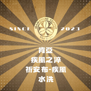 {接單烘焙}當日下單.當日寄出.豆太郎咖啡 肯亞AA 疾風莊園 咖啡豆 日本烘豆機 員林名店 祈安布