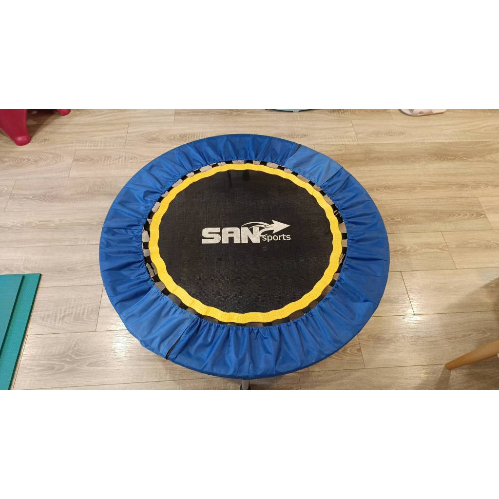 San Sports山司伯特扶手踏步機｜優惠推薦- 蝦皮購物- 2025年11月