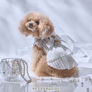 【PET PARADISE】透膚蝴蝶結洋裝 (3S/SS/DS/S)｜cherircouture 2025全新寵物PET