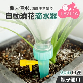 【LAVIDA嚴選】自動澆花滴水器 懶人澆花神器 家用懶人自動澆花器 植栽滴水器 懶人澆花 滴水器