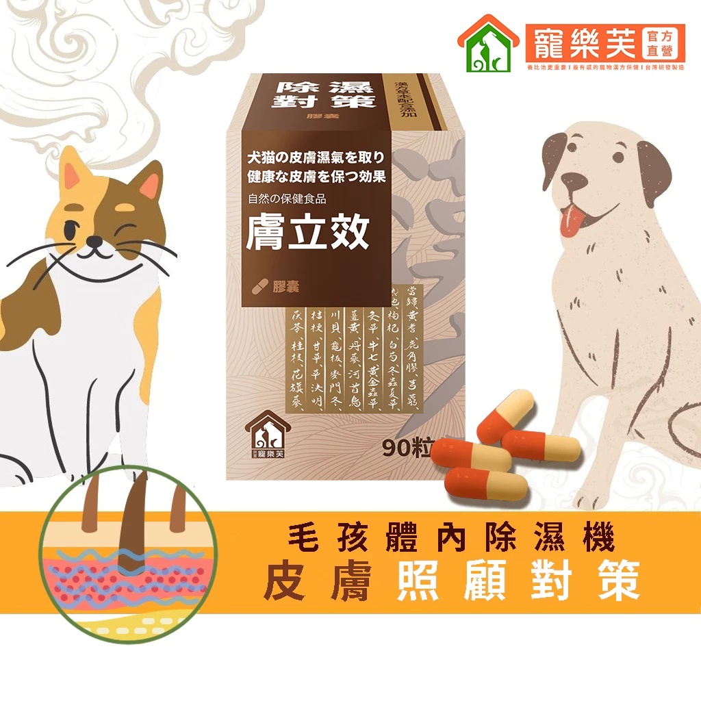 【寵樂芙】膚立效(膠囊)漢方體內祛濕調養｜毛孩的體內除濕機 皮膚/皮毛照顧對策 貓狗寵物皮膚保健品 90粒