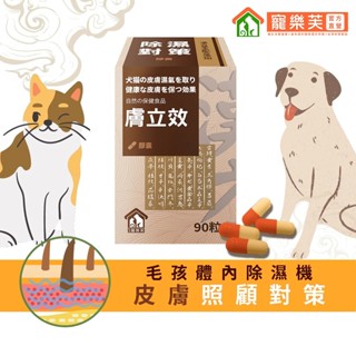 【寵樂芙】膚立效(膠囊)漢方體內祛濕調養｜毛孩的體內除濕機 皮膚/皮毛照顧對策 貓狗寵物皮膚保健品 30粒/90粒