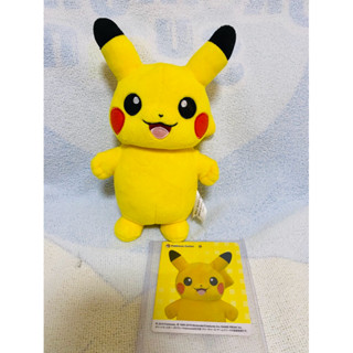 寶可夢閃亮皮卡丘絨毛玩偶 娃娃 神奇寶貝 Pokémon 皮卡丘 動漫周邊 變裝皮
