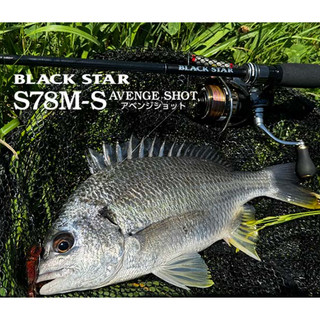 【渥克釣具】 Xesta BLACK STAR S78M-S 根魚竿