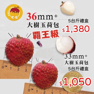 ❄️冷藏免運❄️【小豆芽】限量 大樹玉荷包5斤禮盒裝－頂級33mm／霸王級36mm #荔枝 #玉荷包