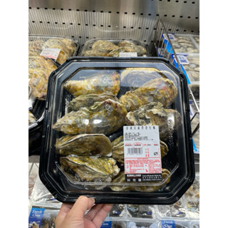 第一賣場（會冷凍出貨保鮮）澎湖冷藏帶殼牡蠣低溫配送#153551