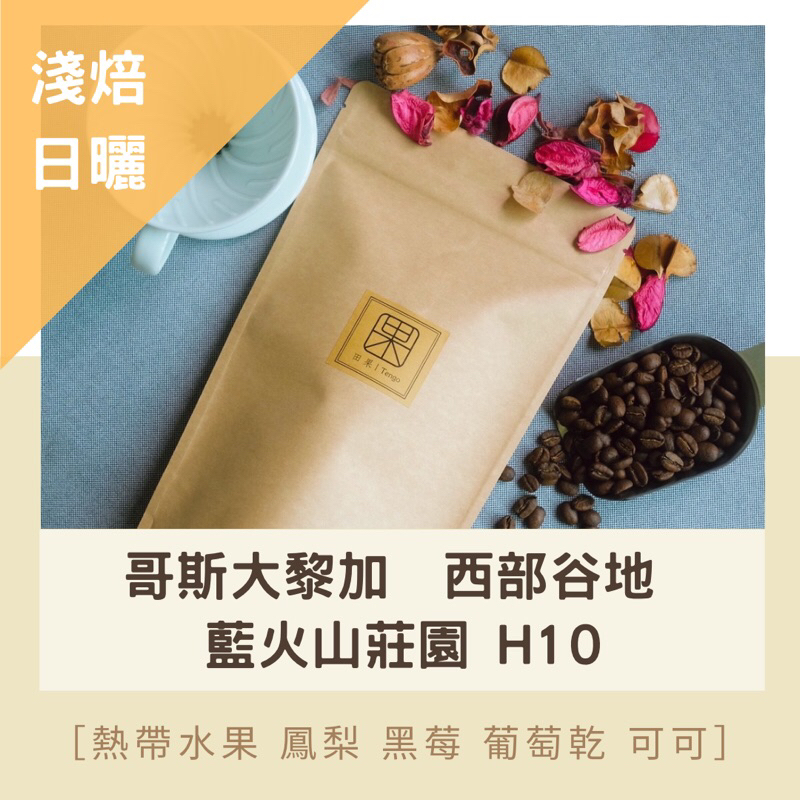 田果咖啡｜淺焙/日曬/哥斯大黎加 西部谷地 藍火山莊園 H10