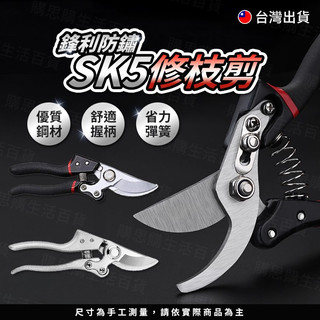 【TW現貨🔥】花支剪 SK5園藝剪刀 樹枝剪 修枝剪刀 果樹剪刀 園藝修剪 花剪 樹枝修剪