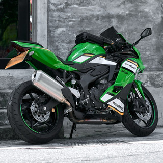 RAINSTOPPER 防雨磁吸 油箱包 川崎 KAWASAKI ZX-4RR 背帶收納 PVC 防撞襯墊 檔車 重機