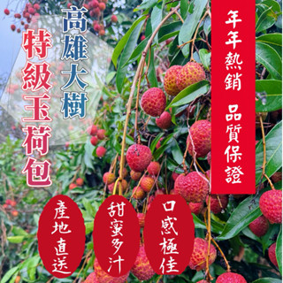 大樹玉荷包 荔枝 冷藏宅配 水果禮盒 送禮首選 產地直送 高雄在地小農