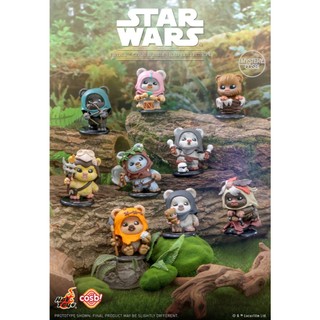 野獸國直營店｜HOT TOYS CBX251 星際大戰 伊娃家族 Q版公仔 盲盒單入 (全9種)