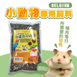 【BELGIUM】小粒葵花子580g 小動物專用飼料 寵物鼠 寵物鳥 小動物