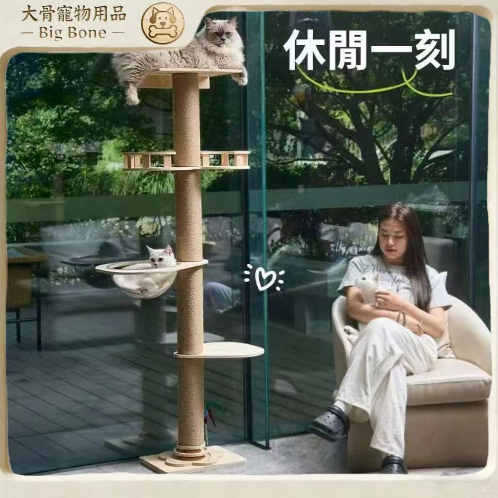【台灣現貨/隔日達】吸盤貓爬架 免打孔 貓跳台 貓樹 貓咪攀爬架 太空艙貓窩 瞭望台 逗貓棒轉盤 穩固不晃 大體型貓適用