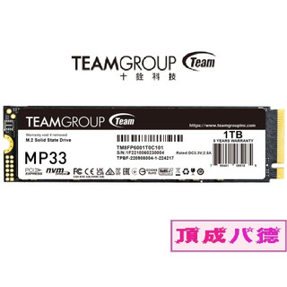 十銓TEAM-MP33 256GB 256G 512GB 512G 1TB 1T M.2 PCIe Gen3x4固態硬碟