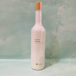 O'right 歐萊德 茶樹洗髮精400mL 問題頭皮推薦 淨化頭皮