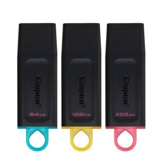 KINGSTON DataTraveler DTX 32GB 64GB 128GB 256G 隨身碟 行動碟 大尺寸扣環