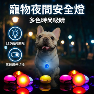 【台灣現貨】 LED 寵物散步燈 防走失吊飾 夜間安全 安全燈 散步燈