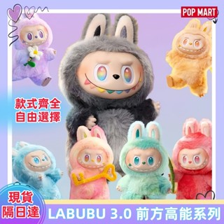 現貨 隔日達 出清甩賣 POPMART LABUBU 拉布布 前方高能3.0 三代 搪膠盲盒 毛絨公仔 MONSTERS