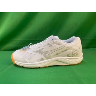 【宏明體育】MIZUNO SKY BLASTER 4 男羽球鞋 女羽球鞋-71GA253310