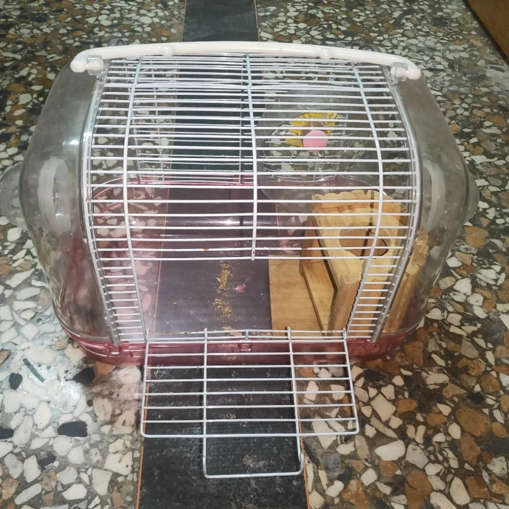 二手 寵物用品 外出籠 鳥籠 鐵籠子 外出籠 小動物 便攜籠 透氣籠 倉鼠籠 鐵籠子 提籠 籠子 小籠子 鐵籠 寵物籠