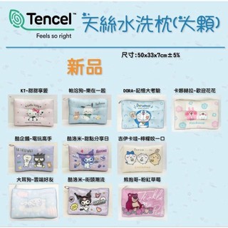 台灣現貨 💯💯🌿嵐嵐🌿 正版 迪士尼 史迪奇 吉伊卡哇 KT 人魚漢頓 貓福珊迪 天絲水洗枕 枕頭 抱枕卡通枕