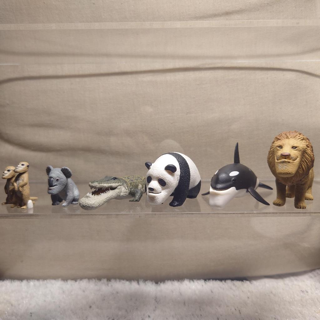 戽斗星球1｜優惠推薦- 蝦皮購物- 2026年1月