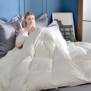 La Belle 水鳥羽毛絨 冬被 100%法國雙人 羽絨被 柔軟 保暖 羽毛被180X210cm