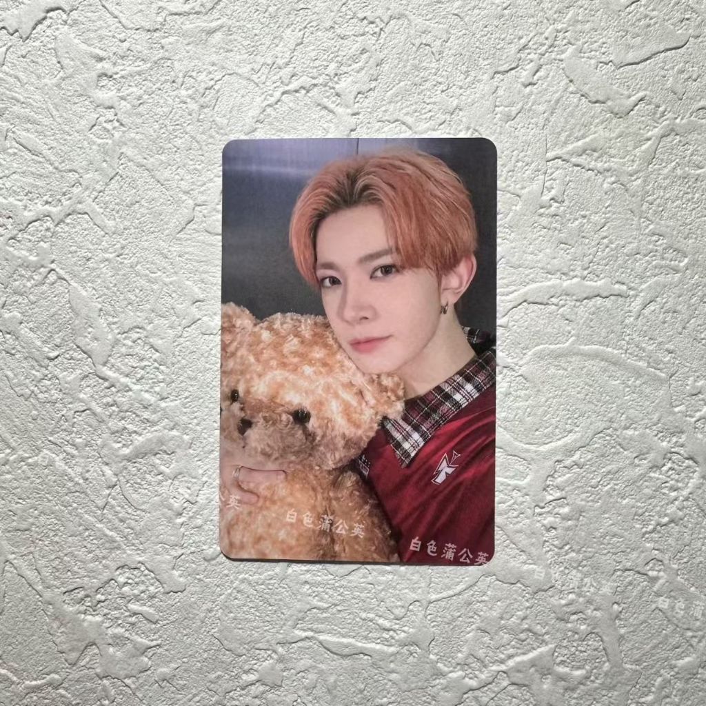 ENHYPEN符 yzy抱熊特典卡 一直娛正規二XO 樸成訓 SUNGHOON 滑 李羲承‌ HEESEUNG