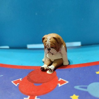 T-ARTS 休眠動物 鬥牛犬 公仔 扭蛋▪️不含運滿百出貨▪️