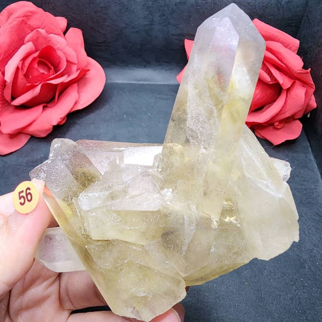 ✨巴西 黃水晶簇-56號 ✨🎀水晶簇｜招財聚財｜手串消磁｜晶簇｜天然原石.原礦.礦石.水晶【艾莉珞】