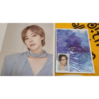 winner 寫真書 dvd 海報 小卡 旻浩 秦禹 韓版