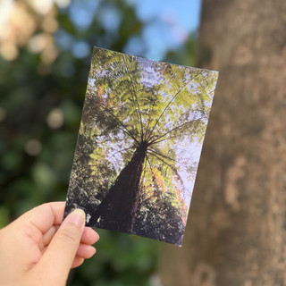 Daily Garden✨ have a nice day台灣趣明信片/酷卡/貓空筆筒樹