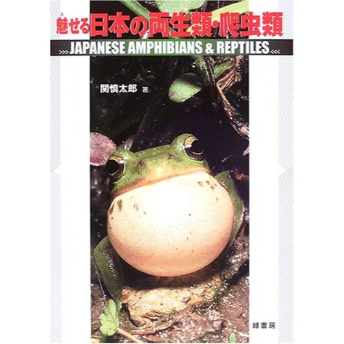 魅せる日本の両生類・爬虫類 （迷人的日本兩棲類和爬蟲類）