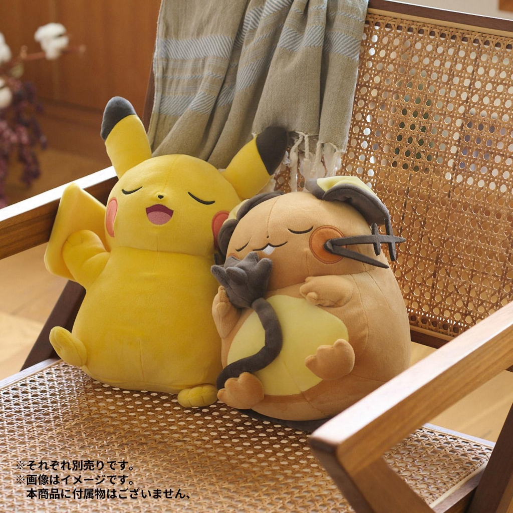 ➡️現貨⬅️ 日本寶可夢中心 Pokemon Sleep 皮卡丘 伊布 耿鬼 菊草葉 卡拉卡拉 呆呆獸 睡覺 咚咚鼠