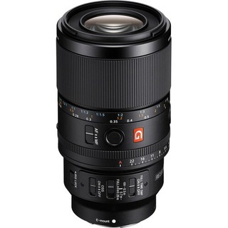 【SONY 索尼】SEL100M28GM FE 100mm F2.8 Macro GM OSS (公司貨)