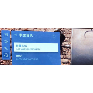 LG G4 65吋 oled 升級預售