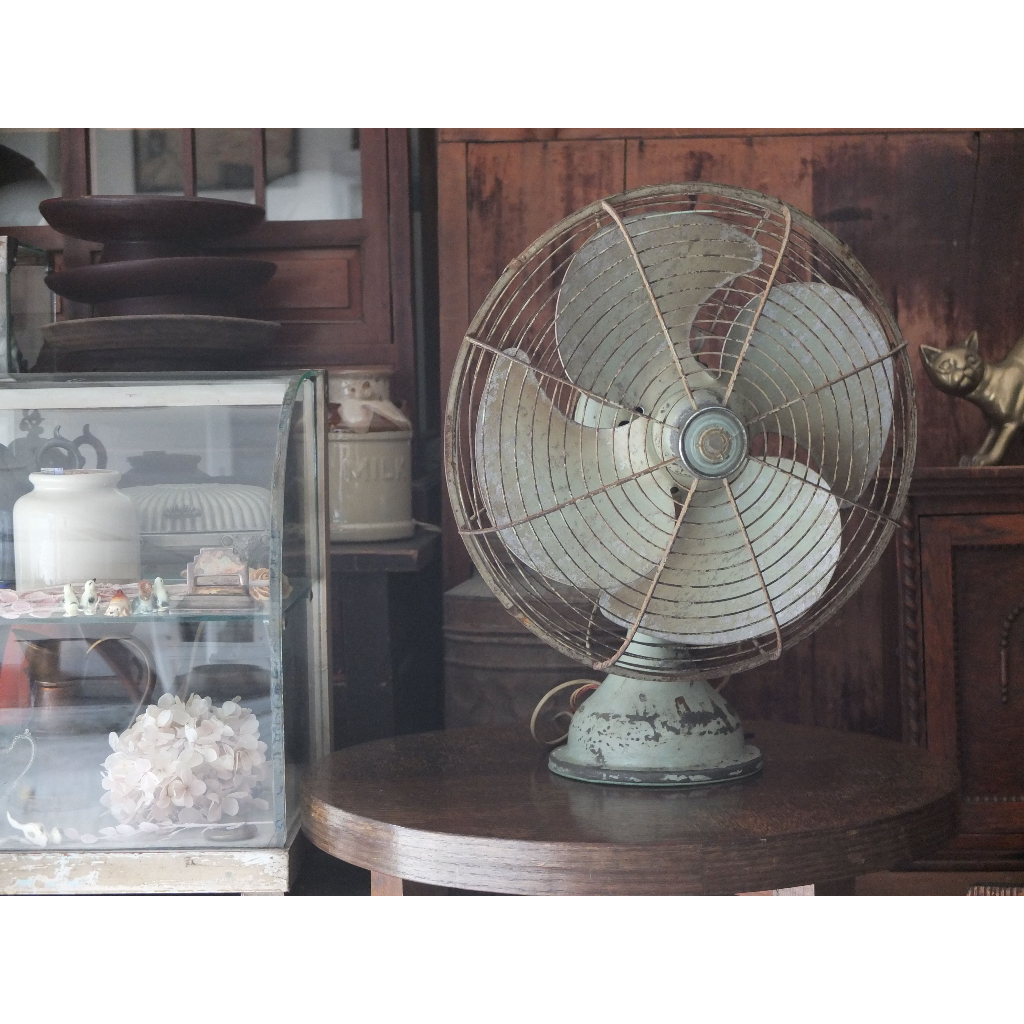 【福三】大同 老電扇 平頭 電風扇 老大同 古物