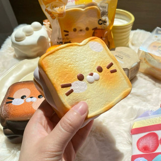 CS貓咪酸奶吐司🐱 慢回彈 一按一個坑 squishy