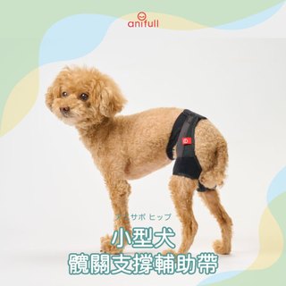 anifull 小型犬-髖關支撐輔助帶 小型狗輔助 狗輔助 狗護具 狗後肢衰退 狗行走無力 狗退化 狗步行輔助