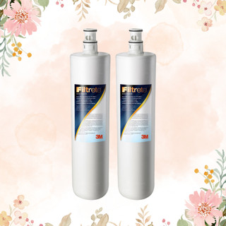 【3M】S004淨水器專用濾心 3US-F004-5｜1/2入超值組 適用S004系列 高密度活性碳 現貨速出