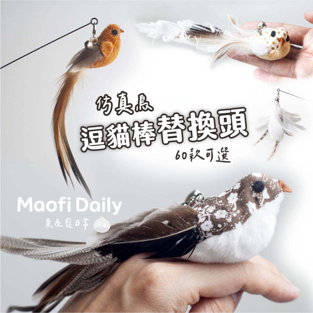 逗貓棒替換頭配件｜羽毛逗貓棒 逗貓鳥 可手持 吸盤小鳥逗貓棒 自嗨貓咪玩具 彈力鋼絲 替換頭 釣貓 栗屋