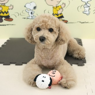 【PEANUTS】史努比互動啾啾玩具球 (寵物玩具)