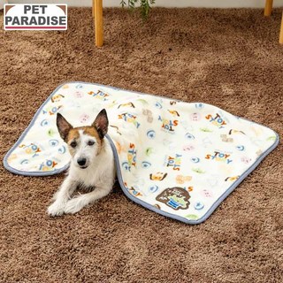 【PET PARADISE】寵物法蘭絨保暖蓋毯 (90cm×60cm) ｜DISNEY玩具總動員 2025新款 寒流保暖