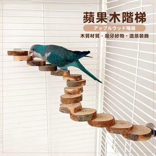 蘋果木雲梯 鳥用爬梯 攀爬木架 鳥籠玩具 蘋果木玩具 啃咬磨牙用品 樂邦