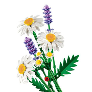 LEGO 樂高 積木 Botanicals 11508 雛菊(領卷更優惠且免運)現貨 玩具研究中心